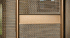 正在物理学家中排